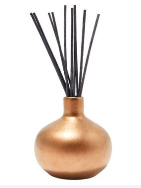 Pottery Barn Mason Diffuser in Soltice - Metallic Copper Finish